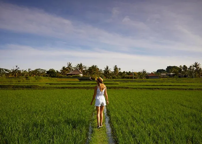 Element By Marriott Bali ウブド